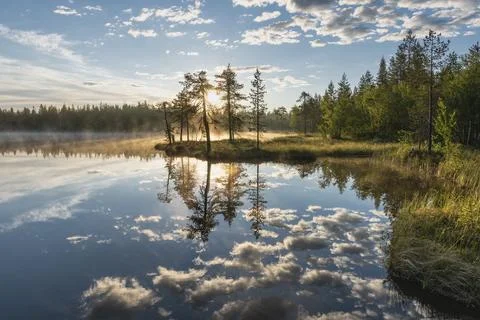Cloud reflection in a forest lake, Norrbotten, Lapland, Sweden, July 2017 Stock Photos
