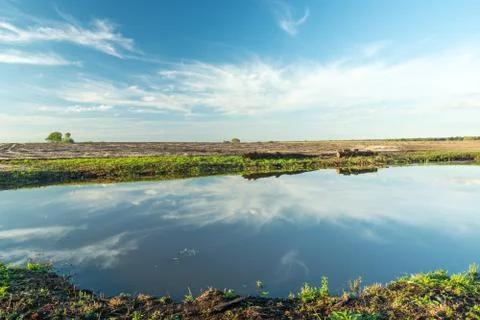 Cloud reflection in water on the field Stock Photos