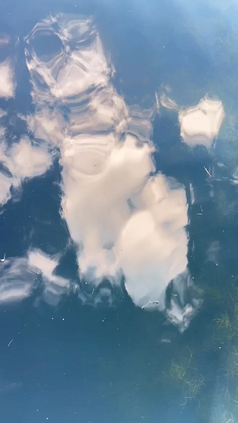 Cloud reflections and flying bird reflections on blue pond water surface in.. Stock Footage 338403194