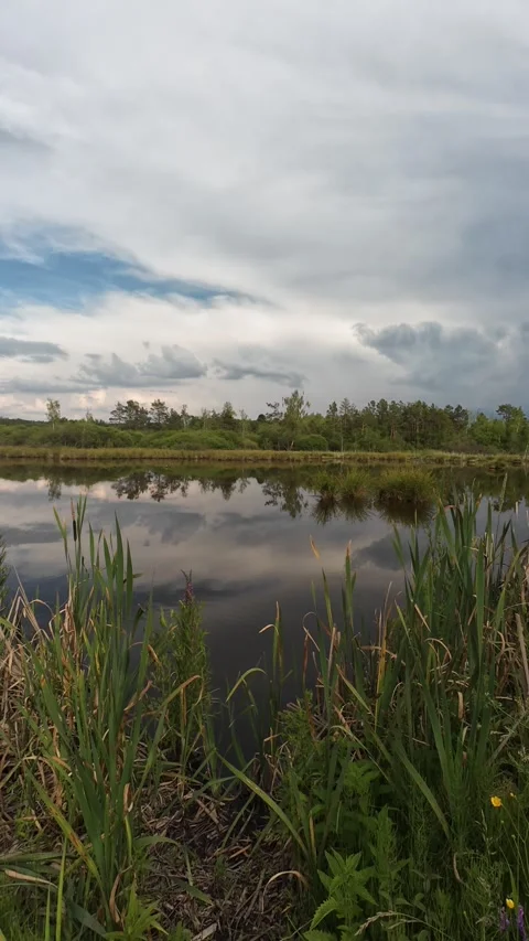 Cloud Reflections on a Calm Pond at Dusk Stock Footage 339628666