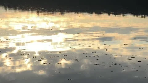 Cloud reflections on a forest lake at sunset Stock Footage 12766899