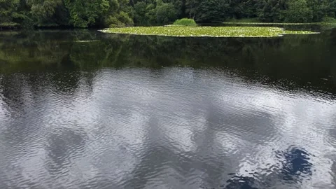 Cloud Reflections on Mass Lough Heywood Demesne County Laois Ireland 4K Stockbeeldmateriaal 337948267