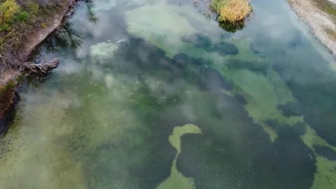 Cloud reflections in the mossy lake Stock Footage 174753183