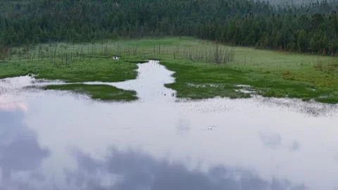 Cloud Reflections Over Broad Forest Wetland Pool Stock Footage 346736506