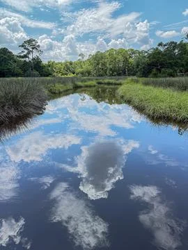 Cloud Reflections Over a Peaceful Coastal Marsh in Ocean Springs, Mississippi 스톡 사진
