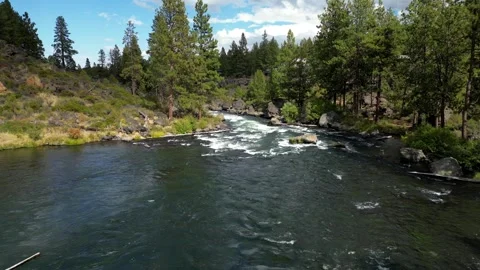 Cloud Reveal Flying Down a Beautiful River on Sunny Day in the Summer Stock Footage 249821295