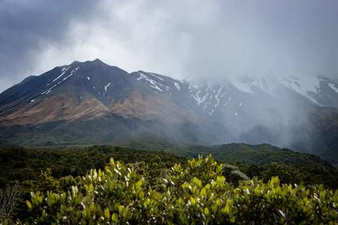Cloud rises from a peak on Mount Taranaki, New Zealand. Trees in foreground. Stock Photos
