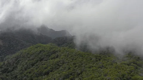 Cloud rolling across a forested ridge on Kauai Vídeos de archivo 96047292