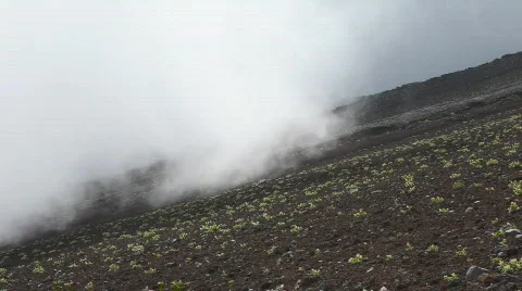 A cloud rolling up a mountain slope Stockbeeldmateriaal 505774