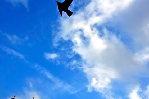 Cloud scape Stock Photos