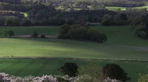 Cloud shadow over field timelapse Stock Footage 41256305