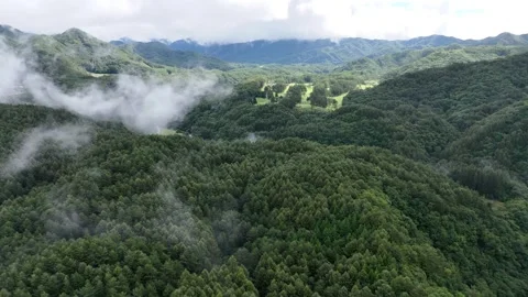 Cloud Shadows and Wisps of Mist Above Wooded Mountains Vídeo Stock 347502703