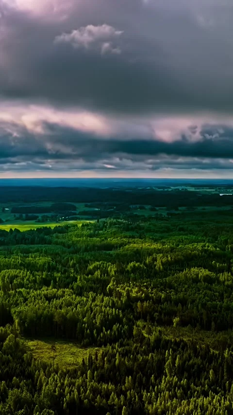 Cloud Shadows Crossing Dense Forest and Open Fields From Above Stock Footage 337648534