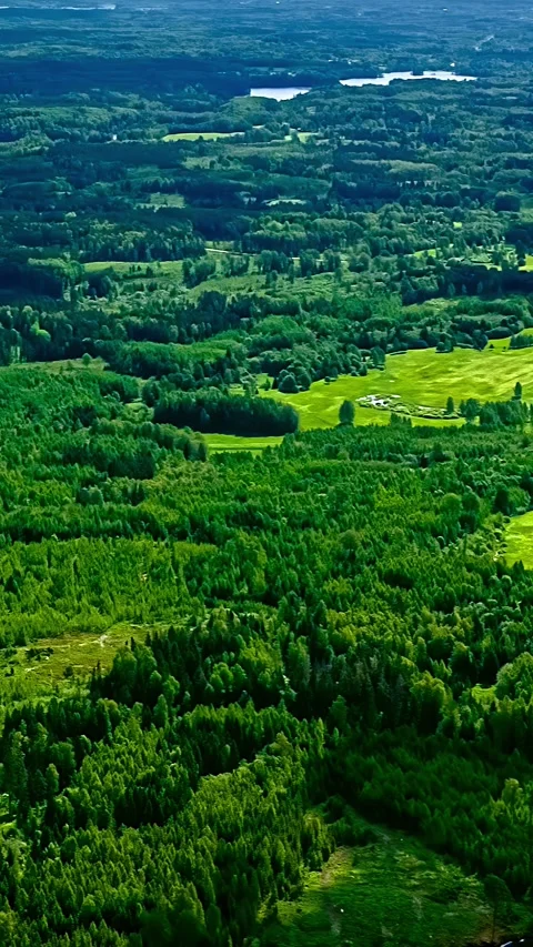 Cloud Shadows Drifting Over Vast Green Forest Aerial Timelapse Stock Footage 345118061