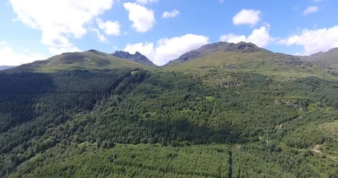 Cloud Shadows Moving Across a Green Scottish Forest Drone Shot Stock Footage 97572365