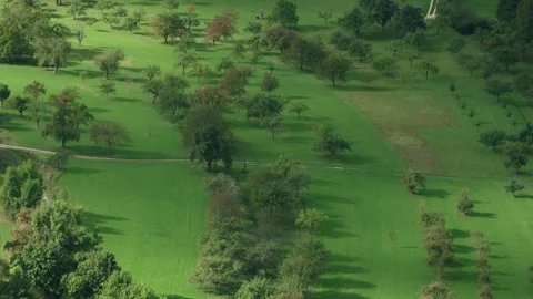 Cloud shadows moving over orchard landscape Stock Footage 318711438