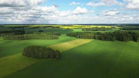 Cloud shadows sweeping across verdant farmlands and lush forests, creating Stock Footage 316247453