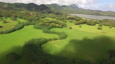 Cloud Shadows on Tropical Island Stock Footage 51445994
