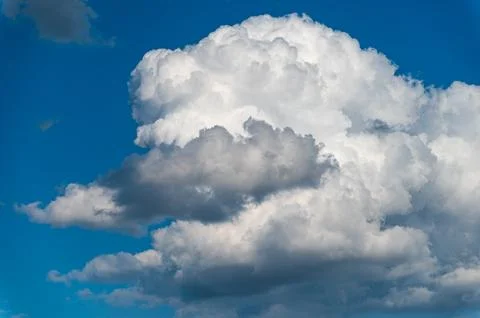 Cloud in the shape of an animal. Stock Photos