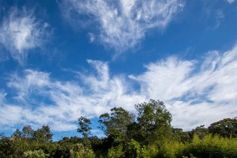 Cloud shapes above the forest Stock Photos