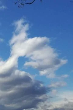 Cloud-silhouette  DOG=TERRIER Stock Photos