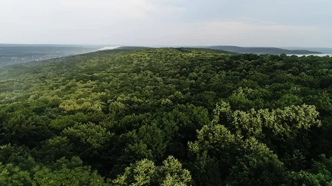 Cloud sky and green forest Stock Footage 129172259