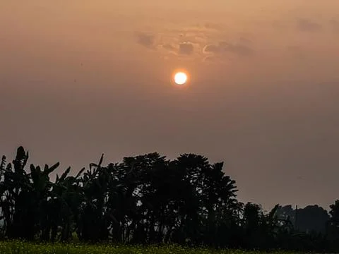 Cloud sky and sunset and Yellow mustard cultivated land. Stock Photos