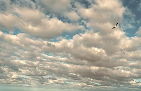 Cloud in the sky. Background with cloud. Gloomy sky with overcast clouds Stock Photos