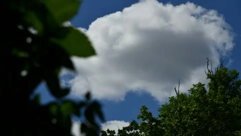 Cloud in sky. Stock Footage 135257906