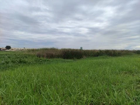 Cloud in the sky Stock Photos