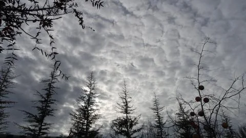 Cloud sky wallpaper background Stock Photos