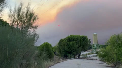 A cloud of smoke from a fire obscuring the red sun. An apocalyptic scene Stock Footage 341304716