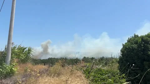 A Cloud of Smoke from a Forest Fire on a Sunny Day Stock Footage 316146111