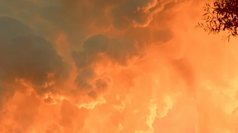 Cloud of smoke shined from below with the sunset Stockbeeldmateriaal 119494020