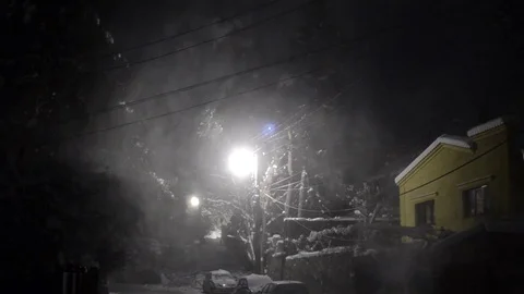 Cloud of snow blizzard of wind on a group of pins and thrown on a house on th Stock Footage 78217914