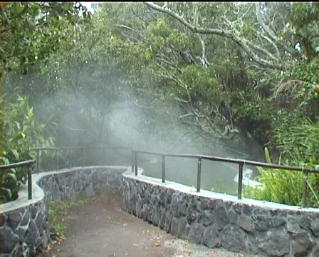 Cloud of steam Vídeo Stock 141914