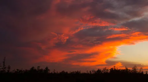 Cloud Sunset Florida Wetland Landscape Timelapse Видео 42865053