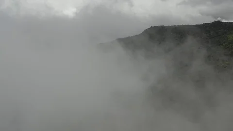 Cloud swallowing a forest ridge in upland Kauai 库存影片 96047350