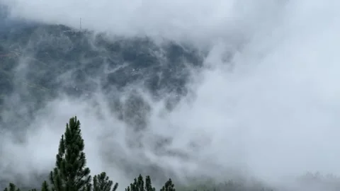 Cloud swirls in circle in close up shot from above with tree in front Stock Footage 261663515