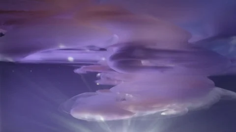 Cloud Tank Sunrise Stock Footage 80542944