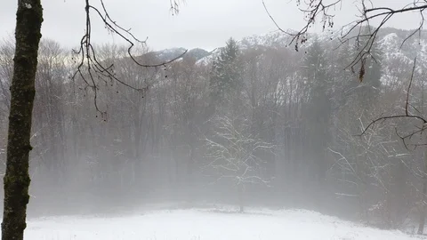 Cloud through the forest, snow on Italian Alps Vídeo Stock 123175850