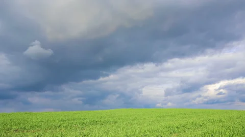 Simple Agriculture Stock Video Footage | Royalty Free Simple ...