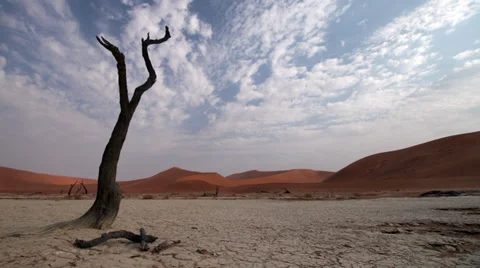 Cloud time lapse with dead tree at Sossusvlei Stock Footage 34298319