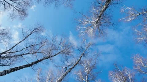 Cloud, Time Lapse Video stock 22209251