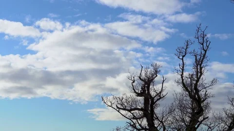 Cloud time-lapse Stock Footage 102279929