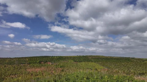 Cloud Time-Lapse over Green Plantation Hill, Southern Vietnam Countryside Stock Footage 329916390