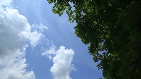 Cloud time lapse in a summer day Stock Footage 146950507