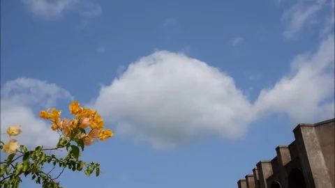 Cloud time lapse  in a sunny day at  kolkata suburban area. Stock Footage 80552312