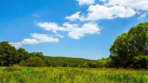 Cloud Timelapse on Blue Sky Background. Fluffy White Clouds Flying on Sky. Stock Footage 136768348