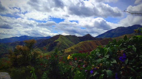 Cloud Timelapse with flowers in foreground Stock Footage 49758761